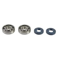 Ležaji in tesnila za glavno gred (Crankshaft rebuilding kit) ATHENA P400250444082 (bearing and oil seal kit)