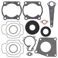 Complete Gasket Kit with Oil Seals WINDEROSA 711140A