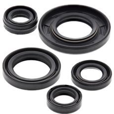 Engine Oil Seal Kit WINDEROSA 822240