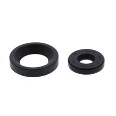 Engine Oil Seal Kit WINDEROSA 622205