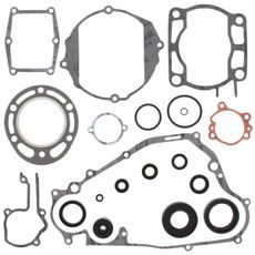 Complete Gasket Kit with Oil Seals WINDEROSA 811660