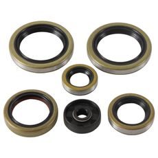 Engine Oil Seal Kit WINDEROSA 822370