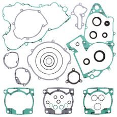 Complete Gasket Kit with Oil Seals WINDEROSA 811300
