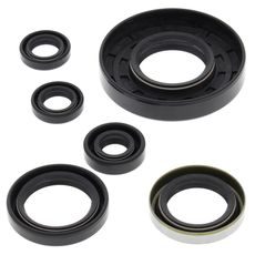 Engine Oil Seal Kit WINDEROSA 822262