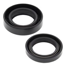 Engine Oil Seal Kit WINDEROSA 55168