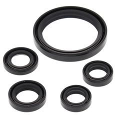 Engine Oil Seal Kit WINDEROSA 822350