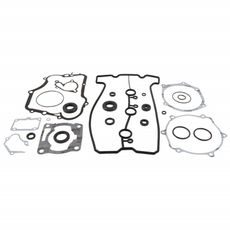 Complete Gasket Kit with Oil Seals WINDEROSA 8110008