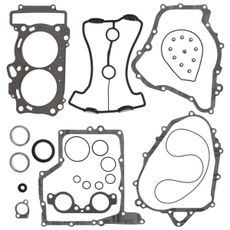Complete Gasket Kit with Oil Seals WINDEROSA 711299