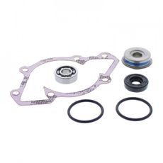 Water Pump Rebuild Kit WINDEROSA 721258
