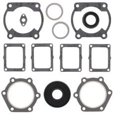 Complete Gasket Kit with Oil Seals WINDEROSA 711147G