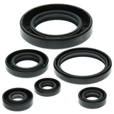 Engine Oil Seal Kit WINDEROSA 822204