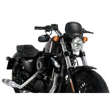 Windshield PUIG FRONTAL PLATE 20399C carbon look