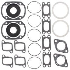 Complete Gasket Kit with Oil Seals WINDEROSA 711162A