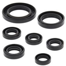 Engine Oil Seal Kit WINDEROSA 822311