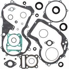 Complete Gasket Kit with Oil Seals WINDEROSA 811810