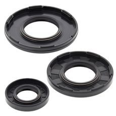 Oil seal set WINDEROSA 622201
