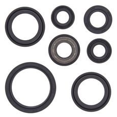 Engine Oil Seal Kit WINDEROSA 822232