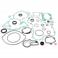 Complete Gasket Kit with Oil Seals WINDEROSA 8110028