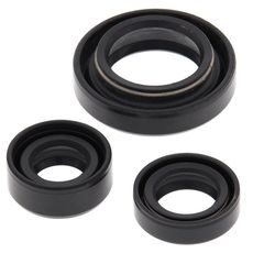 Engine Oil Seal Kit WINDEROSA 822254