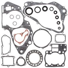 Complete Gasket Kit with Oil Seals WINDEROSA 811574