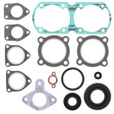 Complete Gasket Kit with Oil Seals WINDEROSA 711142C