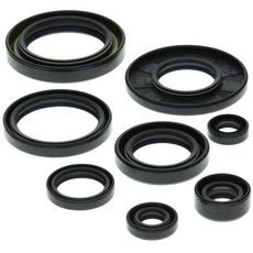 Engine Oil Seal Kit WINDEROSA 822158