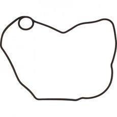 Ignition Cover Gasket WINDEROSA 816330