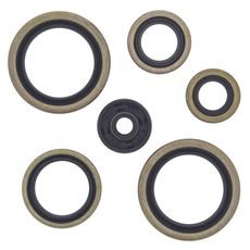 Engine Oil Seal Kit WINDEROSA 822187