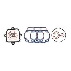 Set tesnil motorja RMS 100684031