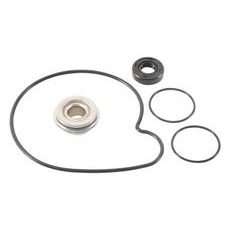 Water Pump Rebuild Kit WINDEROSA 821001