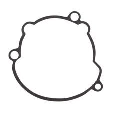 Ignition cover gasket WINDEROSA 816706