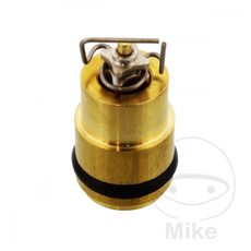 Float needle TOURMAX with seat