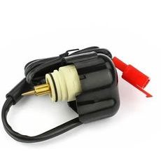 E-choke OTHER Piaggio OEM CM142913 120017C