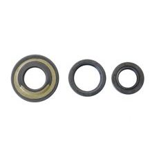Set tesnil motorja za olje (Engine Oil Seals Kit) ATHENA P400480400050/1