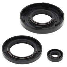 Engine Oil Seal Kit WINDEROSA 55111