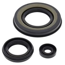 Engine Oil Seal Kit WINDEROSA 55198