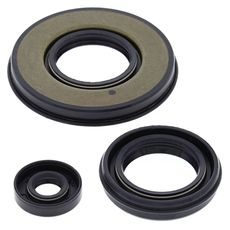 Engine Oil Seal Kit WINDEROSA 55199