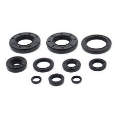 Engine Oil Seal Kit WINDEROSA 822993