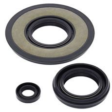 Engine Oil Seal Kit WINDEROSA 55170