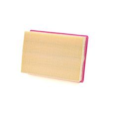 Zračni filter CHAMPION CAF9009 100606215