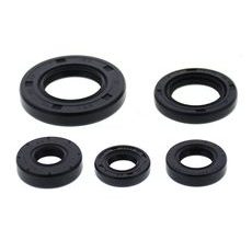 Engine Oil Seal Kit WINDEROSA 822990