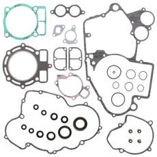 Complete Gasket Kit with Oil Seals WINDEROSA 811317