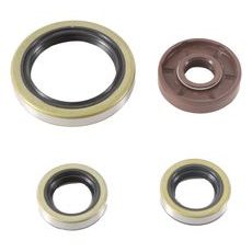Engine Oil Seal Kit WINDEROSA 822374