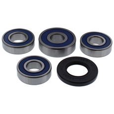 Wheel Bearing Kit All Balls Racing 25-1771 zadaj