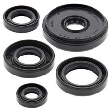 Engine Oil Seal Kit WINDEROSA 822196