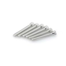Screws PUIG ANODIZED 0540P srebrna M8 x 55mm (6pcs)