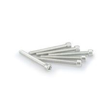 Screws PUIG ANODIZED 0446P srebrna M6 x 55mm (6pcs)