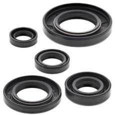 Engine Oil Seal Kit WINDEROSA 822165