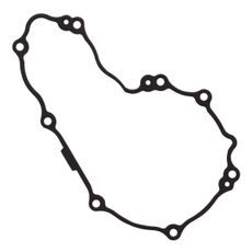 Ignition cover gasket WINDEROSA 816295