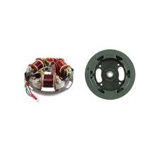 Complete flywheel RMS 246360143